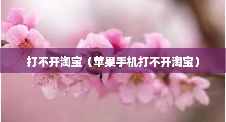 打不开淘宝（苹果手机打不开淘宝）