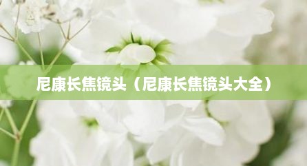 尼康长焦镜头（尼康长焦镜头大全）