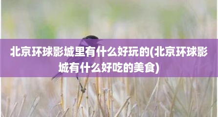 北京环球影城里有什么好玩的(北京环球影城有什么好吃的美食)