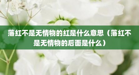 落红不是无情物的红是什么意思（落红不是无情物的后面是什么）