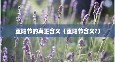 重阳节的真正含义（重阳节含义?）