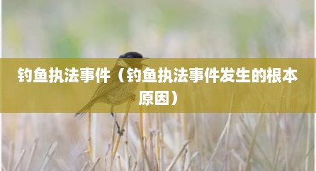 钓鱼执法事件（钓鱼执法事件发生的根本原因）