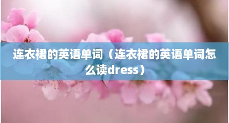 连衣裙的英语单词（连衣裙的英语单词怎么读dress）