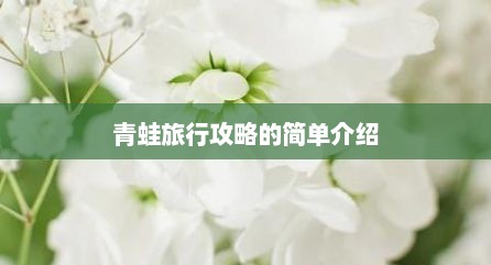 青蛙旅行攻略的简单介绍