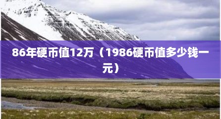 86年硬币值12万（1986硬币值多少钱一元）