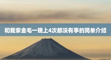 和我家金毛一晚上4次都没有事的简单介绍