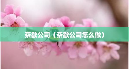 茶歇公司（茶歇公司怎么做）