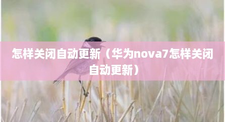 怎样关闭自动更新（华为nova7怎样关闭自动更新）