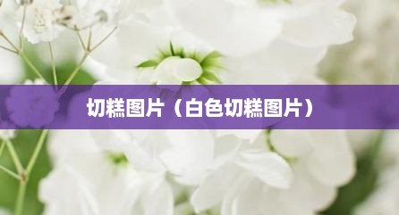 切糕图片（白色切糕图片）