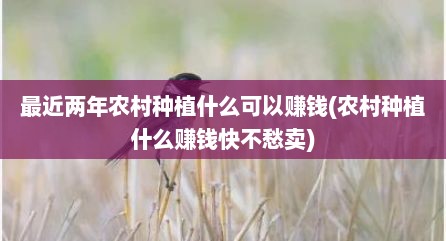 最近两年农村种植什么可以赚钱(农村种植什么赚钱快不愁卖)