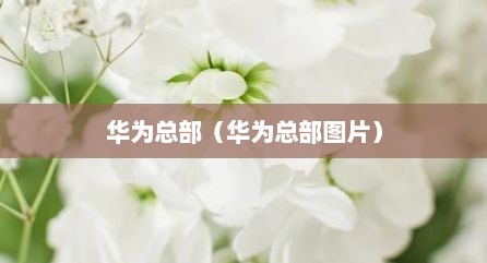 华为总部（华为总部图片）