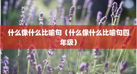 什么像什么比喻句（什么像什么比喻句四年级）