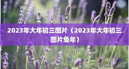 2023年大年初三图片（2023年大年初三图片兔年）