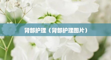 肾部护理（肾部护理图片）