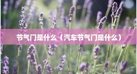 节气门是什么（汽车节气门是什么）