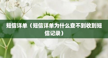 短信详单（短信详单为什么查不到收到短信记录）