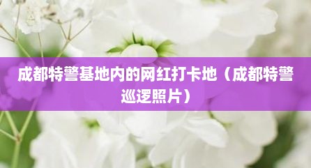 成都特警基地内的网红打卡地（成都特警巡逻照片）