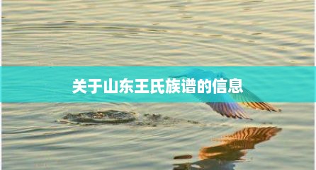 关于山东王氏族谱的信息