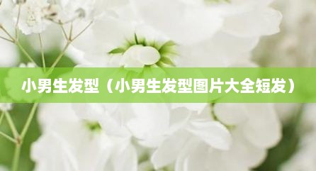 小男生发型（小男生发型图片大全短发）