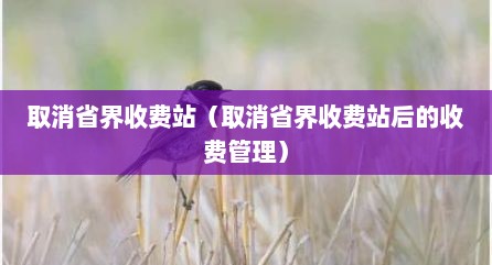 取消省界收费站（取消省界收费站后的收费管理）