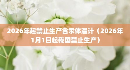 2026年起禁止生产含汞体温计（2026年1月1日起我国禁止生产）