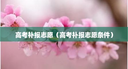 高考补报志愿（高考补报志愿条件）