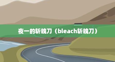 夜一的斩魄刀（bleach斩魄刀）