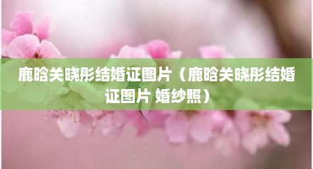 鹿晗关晓彤结婚证图片（鹿晗关晓彤结婚证图片 婚纱照）