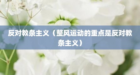 反对教条主义（整风运动的重点是反对教条主义）