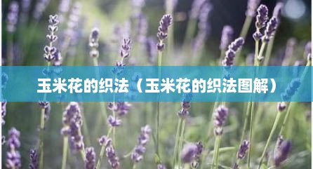 玉米花的织法（玉米花的织法图解）