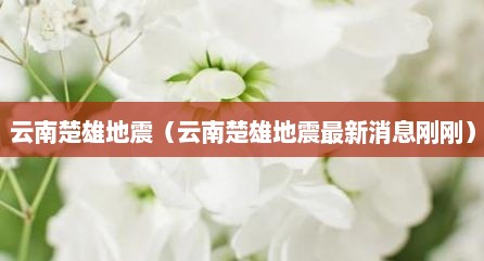 云南楚雄地震（云南楚雄地震最新消息刚刚）