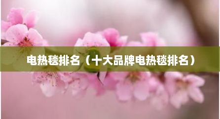 电热毯排名（十大品牌电热毯排名）