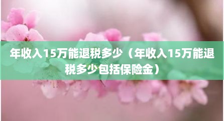 年收入15万能退税多少（年收入15万能退税多少包括保险金）