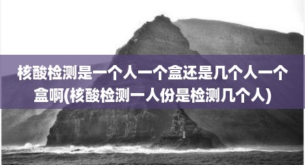 核酸检测是一个人一个盒还是几个人一个盒啊(核酸检测一人份是检测几个人)