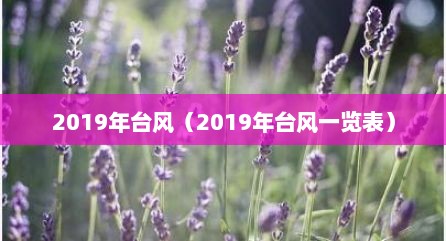 2019年台风（2019年台风一览表）