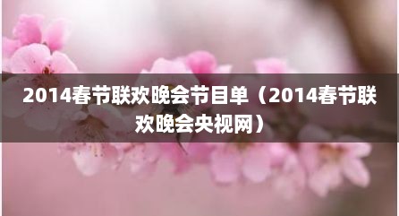 2014春节联欢晚会节目单（2014春节联欢晚会央视网）