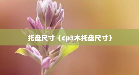 托盘尺寸（cp3木托盘尺寸）