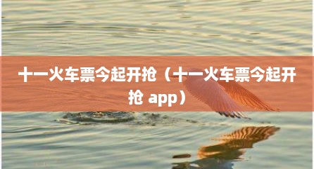 十一火车票今起开抢（十一火车票今起开抢 app）