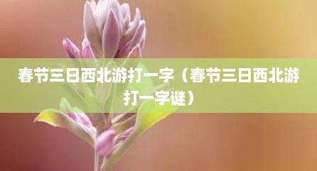 春节三日西北游打一字（春节三日西北游打一字谜）