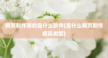 网页制作用的是什么软件(是什么网页制作成品类型)