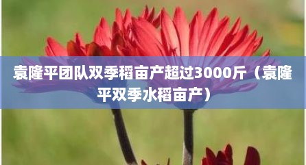 袁隆平团队双季稻亩产超过3000斤（袁隆平双季水稻亩产）