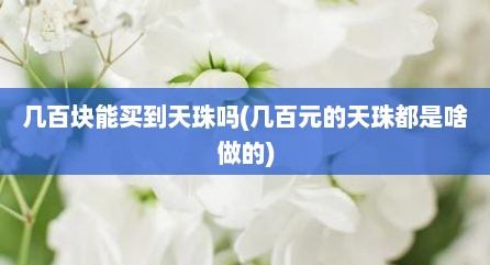 几百块能买到天珠吗(几百元的天珠都是啥做的)