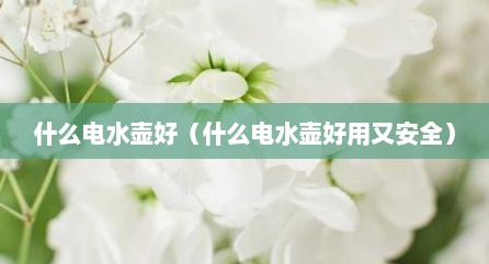 什么电水壶好（什么电水壶好用又安全）