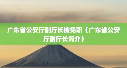 广东省公安厅副厅长被免职（广东省公安厅副厅长简介）