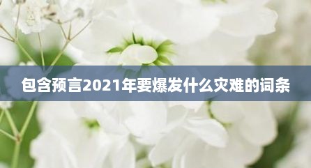 包含预言2021年要爆发什么灾难的词条