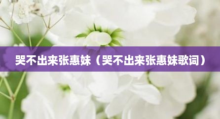 哭不出来张惠妹（哭不出来张惠妹歌词）