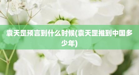 袁天罡预言到什么时候(袁天罡推到中国多少年)