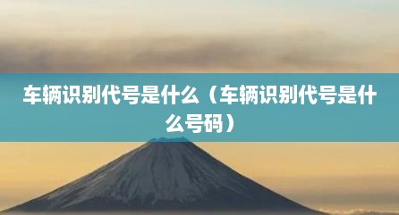 车辆识别代号是什么（车辆识别代号是什么号码）