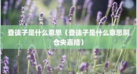 登徒子是什么意思（登徒子是什么意思啊仓央嘉措）