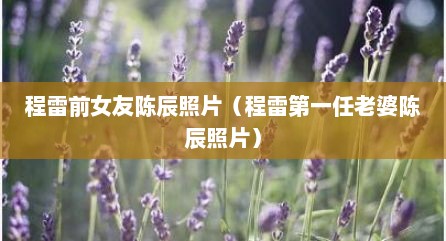 程雷前女友陈辰照片（程雷第一任老婆陈辰照片）